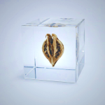 Sola Cube - Tiger's Claw Acrylic Resin Art