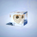 Sola Cube - Chinese Lantern Plant Preserved in Acrylic