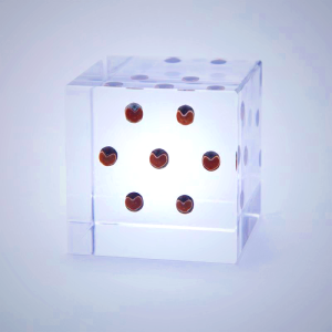 Sola Cube - Balloon Plant Preserved in Acrylic Resin