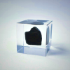 Sola Cube - Obsidian | Preserved Nature in Acrylic