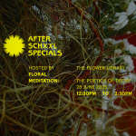 Floral Meditation: The Poetics of Decay Workshop