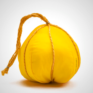 Yuki & Daughters Provolone Sausage - Handmade Inedible Food Art