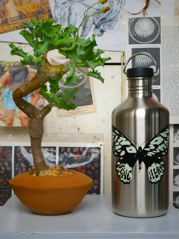 Klean Kanteen 64oz Water Vessel - Find Nonhuman Teachers