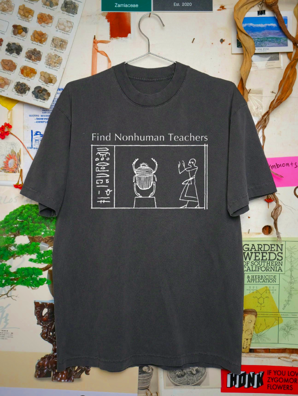 Nonhuman Teachers 501 T-Shirt Washed Black