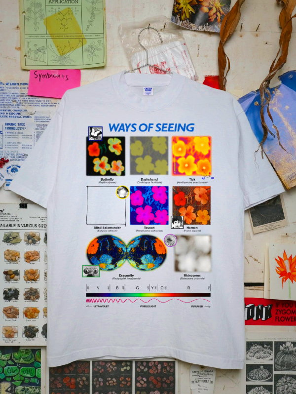 Ways of Seeing T-Shirt Off White - Hot Cactus Collaboration