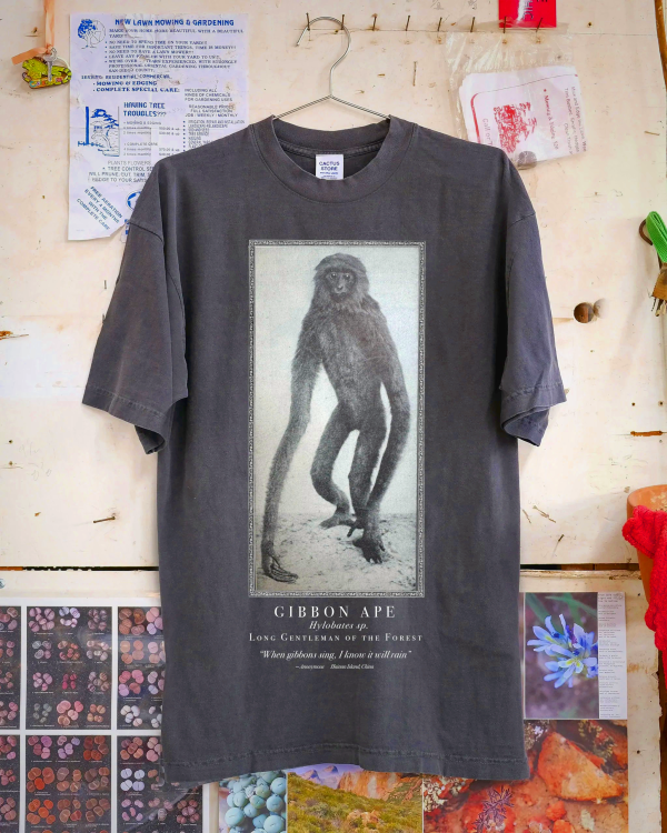 When Gibbons Sing T-Shirt - Washed Black | Ethical Cotton Tee
