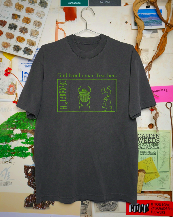 Nonhuman Teachers 501(c)(3) T-Shirt - Alien Design