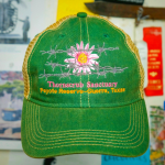 Thornscrub Sanctuary Hat - Green | Eco-Friendly Cotton Twill
