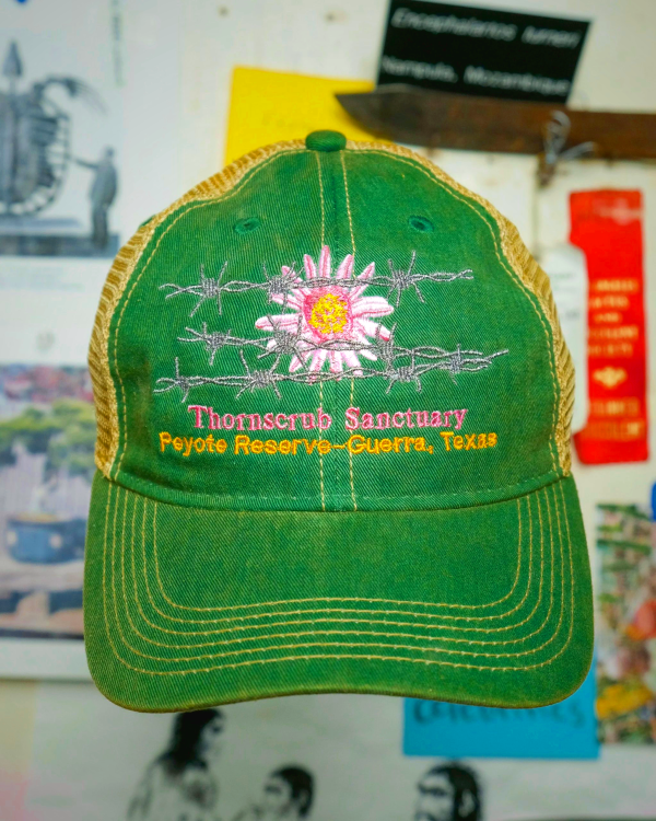 Thornscrub Sanctuary Hat - Green | Eco-Friendly Cotton Twill